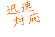 将史